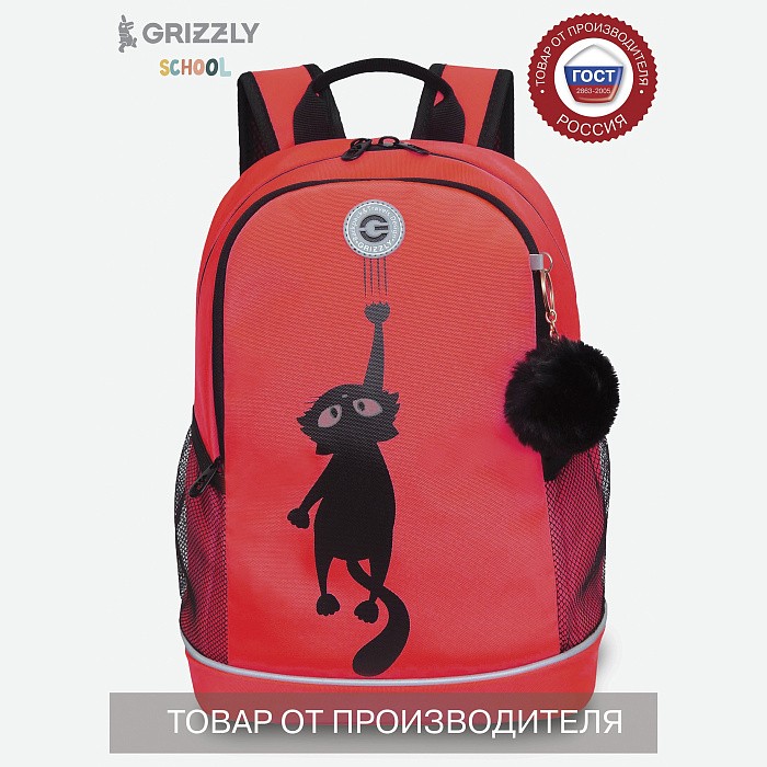 RG-263-8 Рюкзак школьный