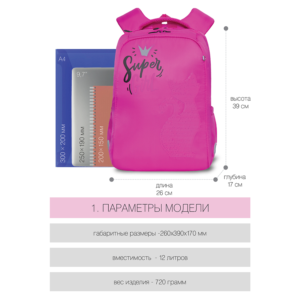 RG-166-2 Рюкзак школьный