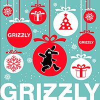 Идеи подарков для Нового года от Grizzly!