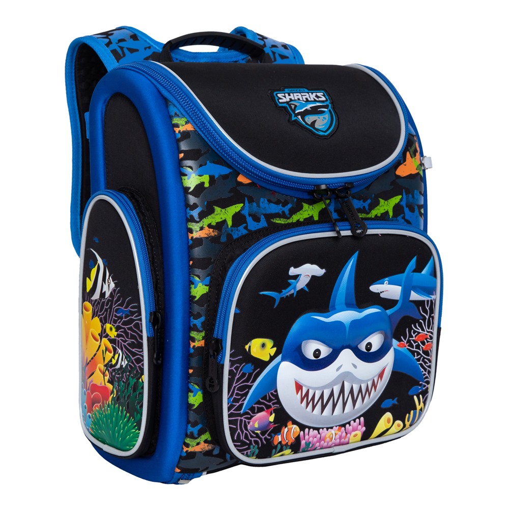 RAr-081-3 Рюкзак школьный