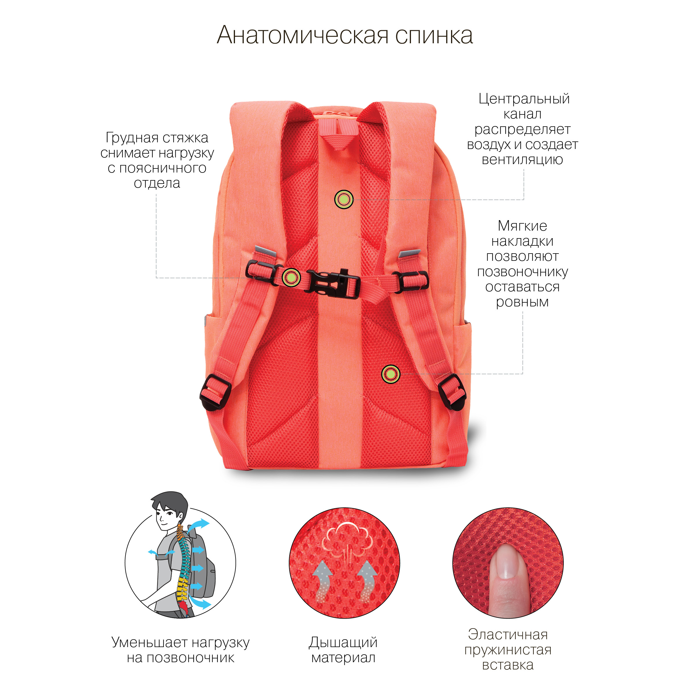 RD-241-1 Рюкзак