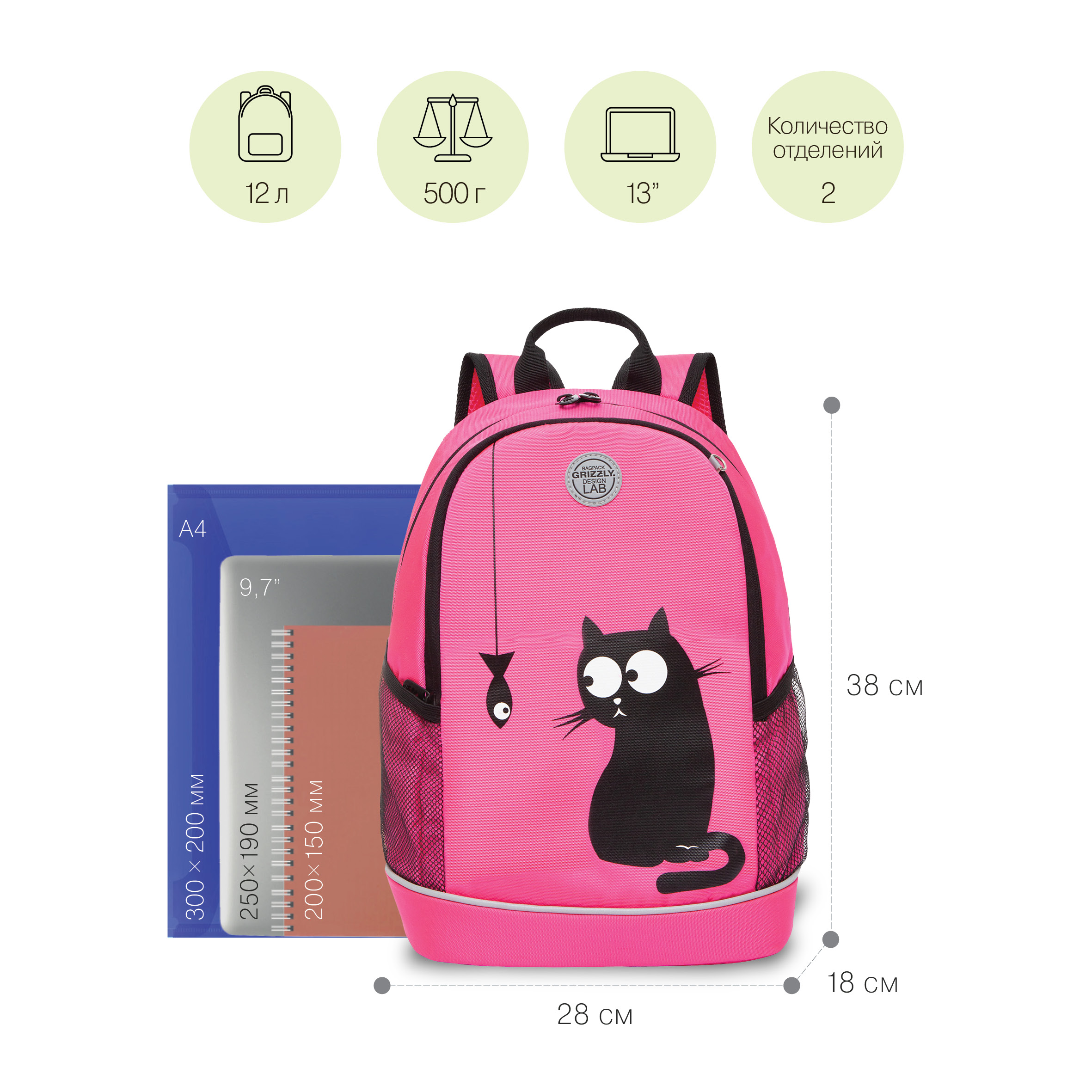 RG-263-4 Рюкзак школьный