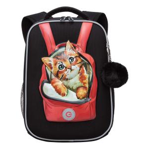 RAw-396-11 Рюкзак школьный (/1 черный)