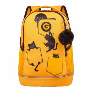 RG-663-2 Рюкзак школьный с обвесом (/3 желтый)