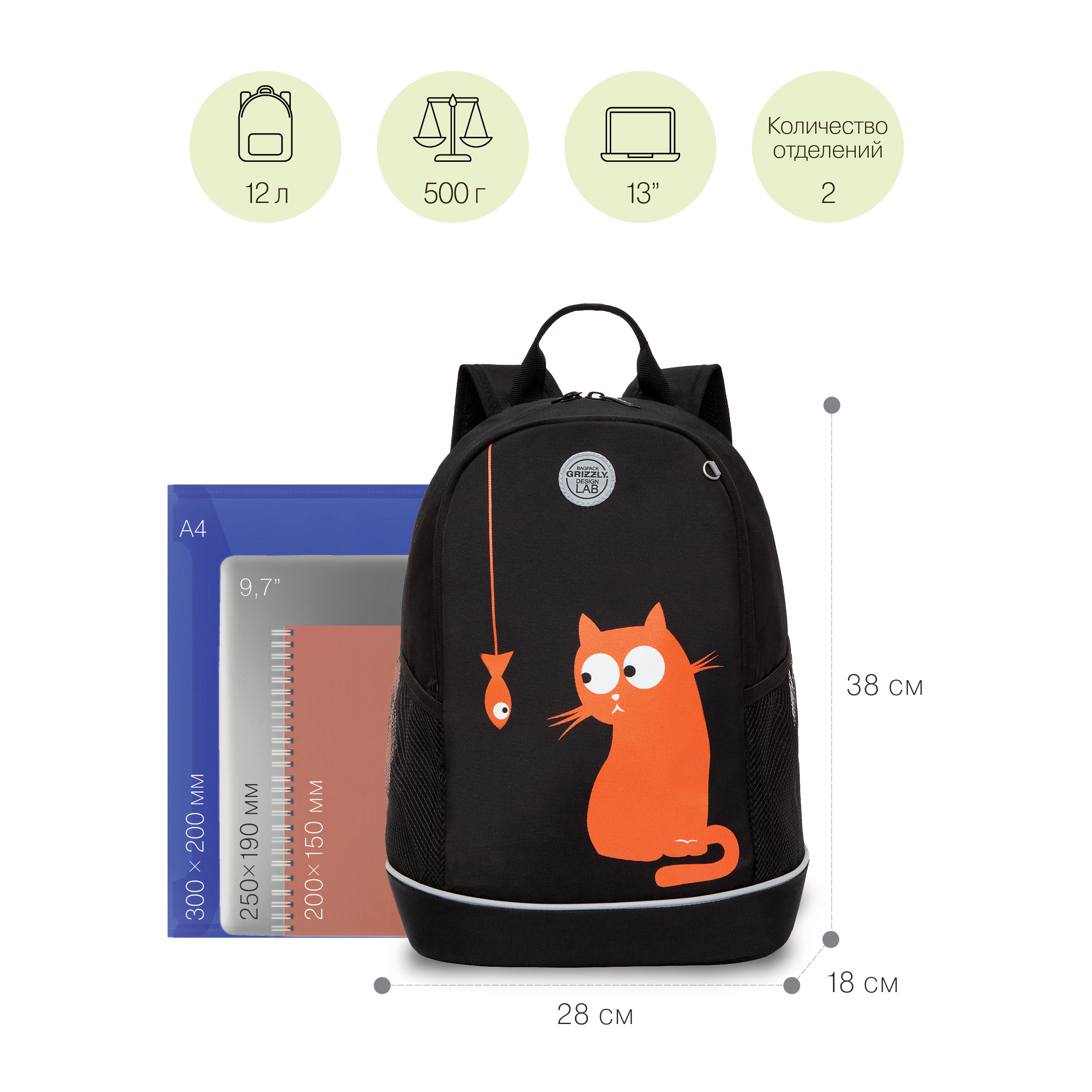 RG-263-4 Рюкзак школьный