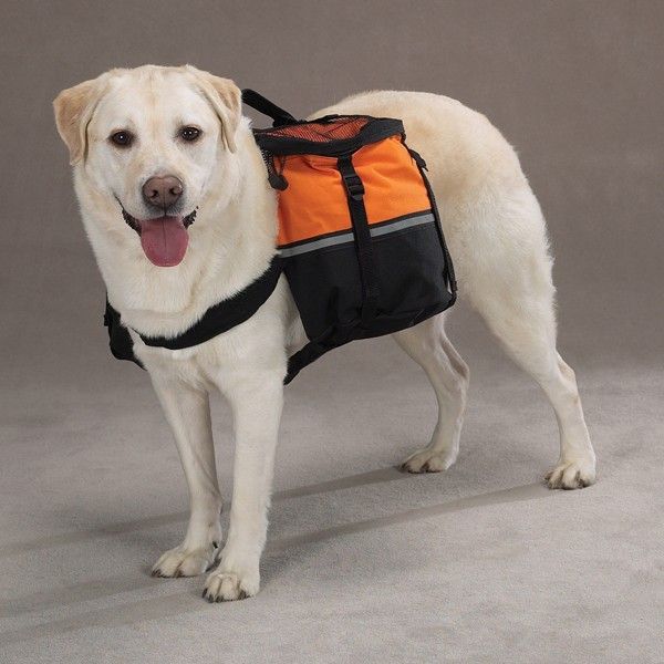 Рюкзак для собаки.jpg