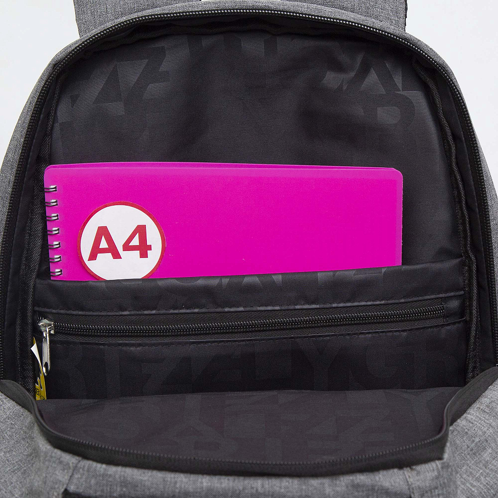 RQ-310-1 Рюкзак