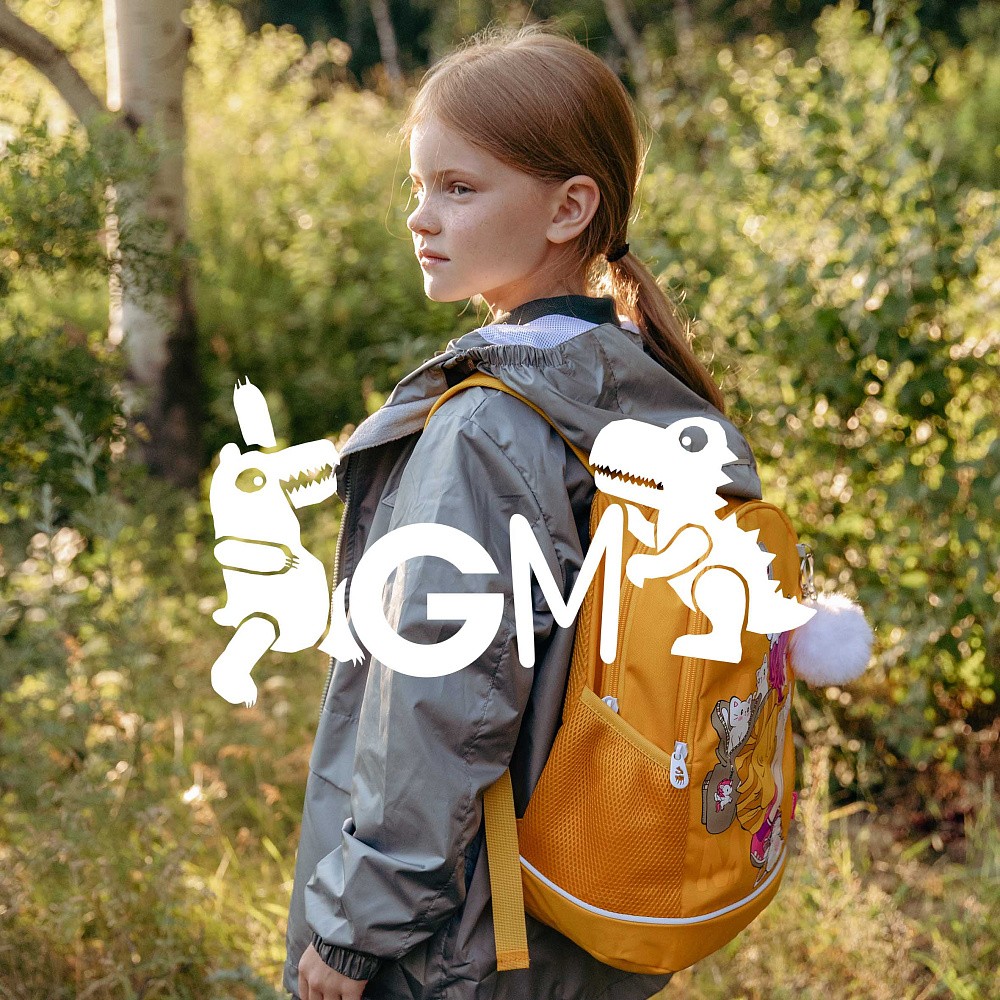 RG-563-3 Рюкзак школьный