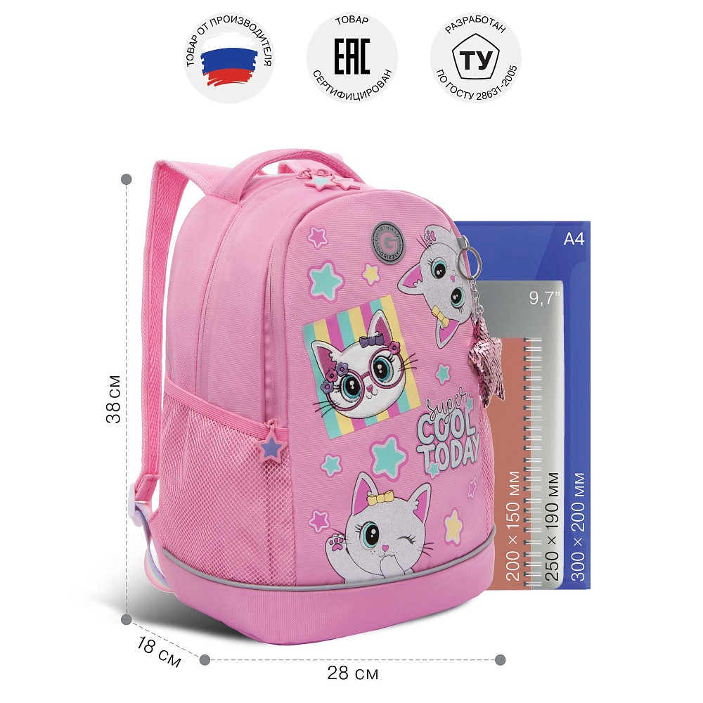 RG-563-6 Рюкзак школьный