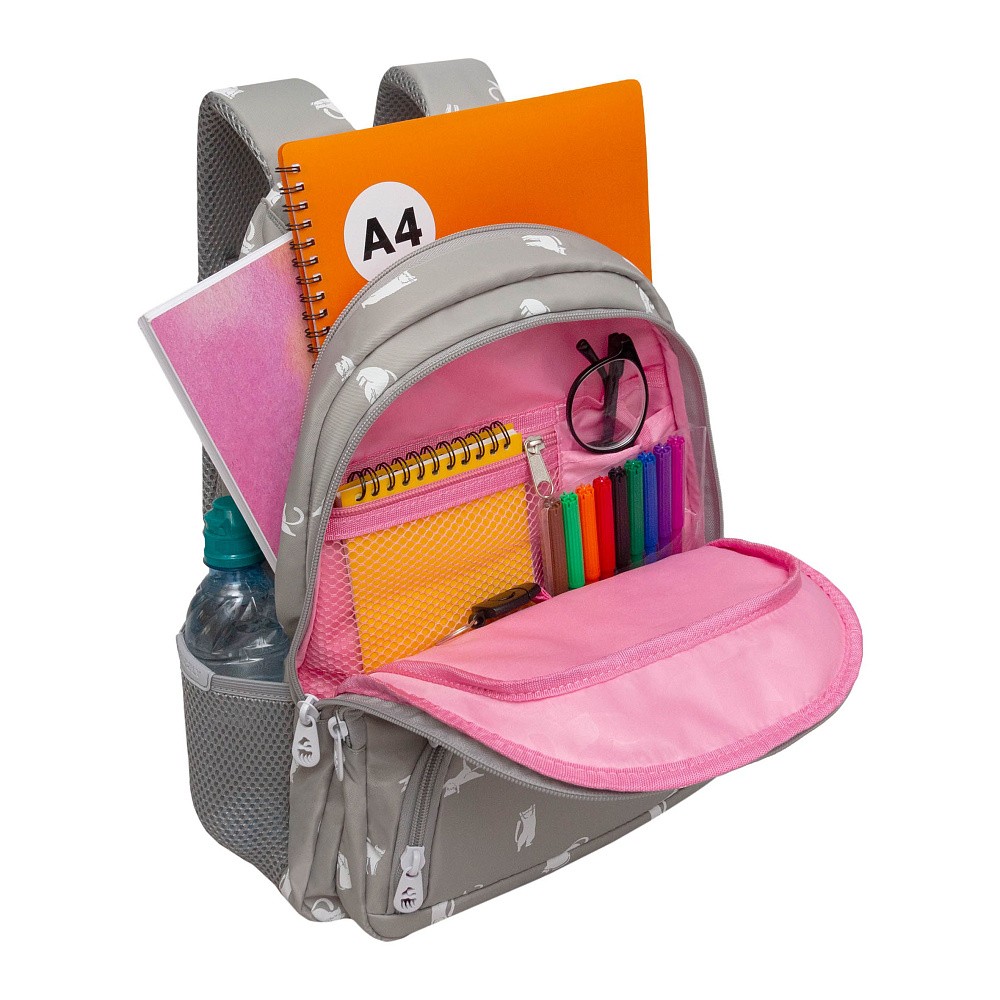 RG-662-1 Рюкзак школьный с картхолдером на держателе