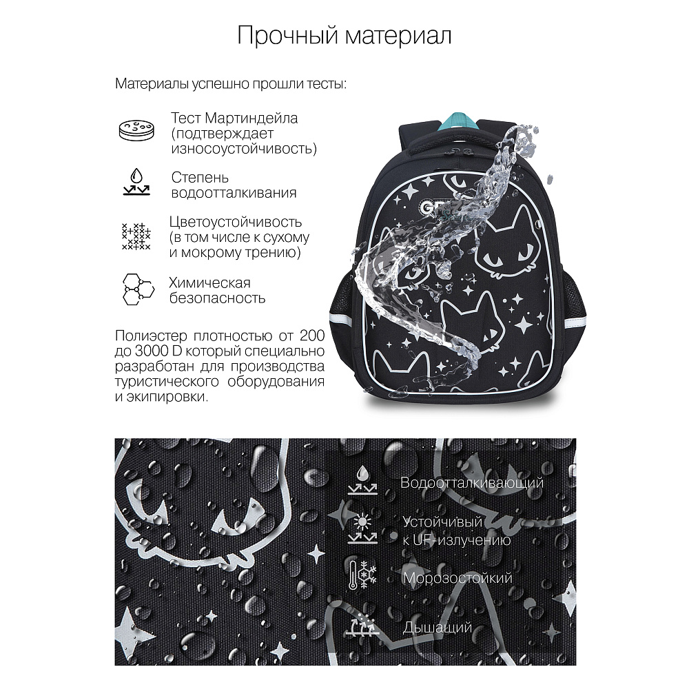 RAz-286-12 Рюкзак школьный