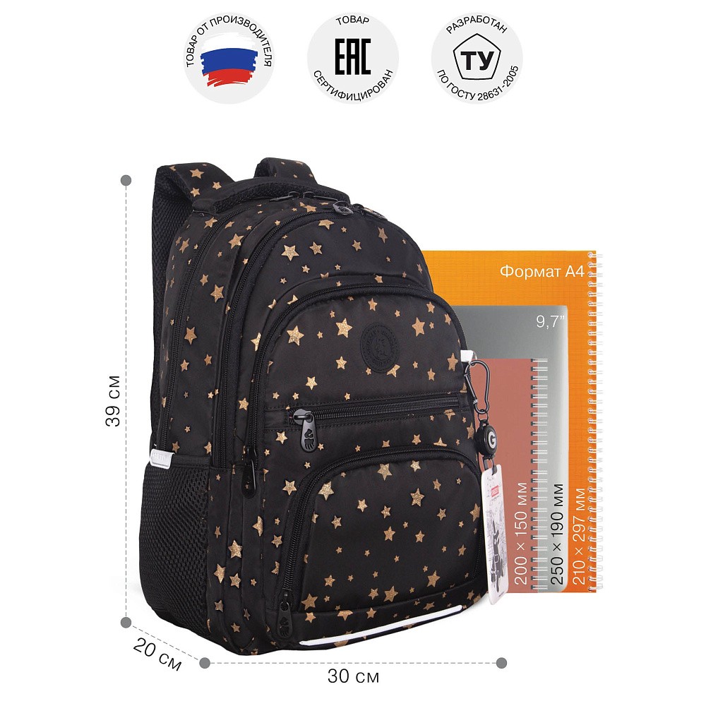 RG-662-1 Рюкзак школьный с картхолдером на держателе