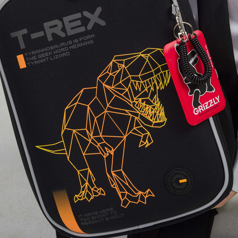 RAw-595-1 Рюкзак школьный