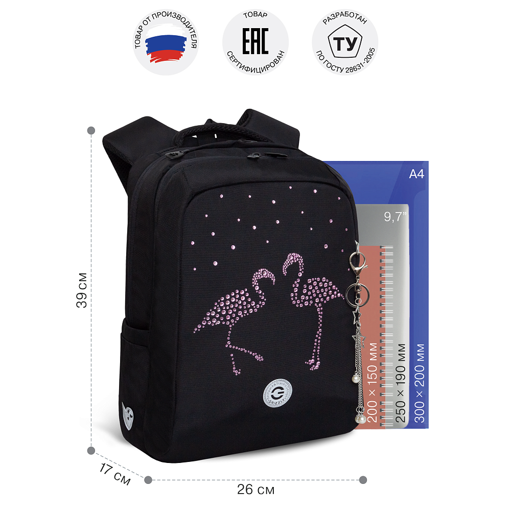 RG-566-2 Рюкзак школьный