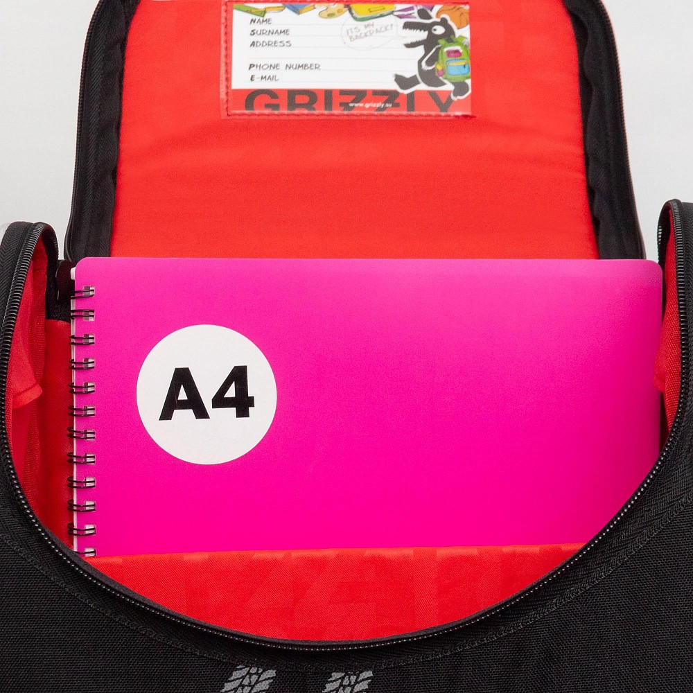 RAm-485-8 Рюкзак школьный с мешком