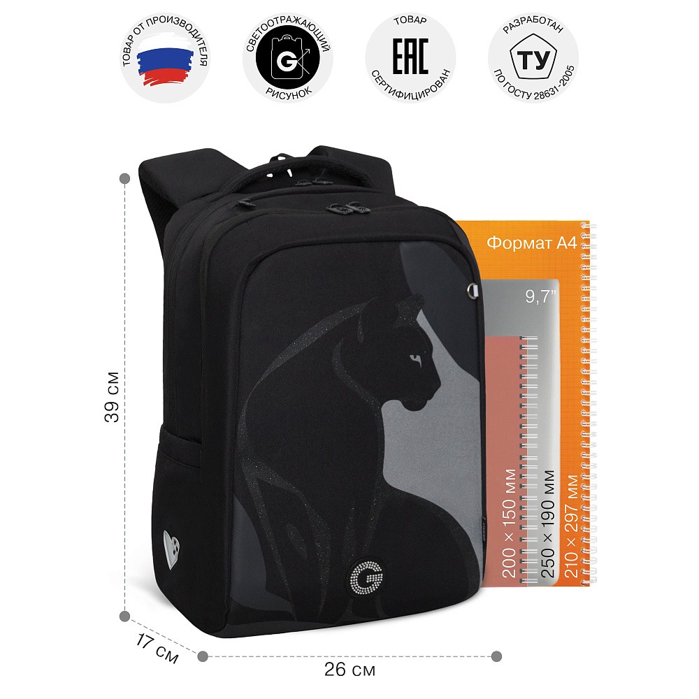 RG-666-1 Рюкзак школьный с обвесом