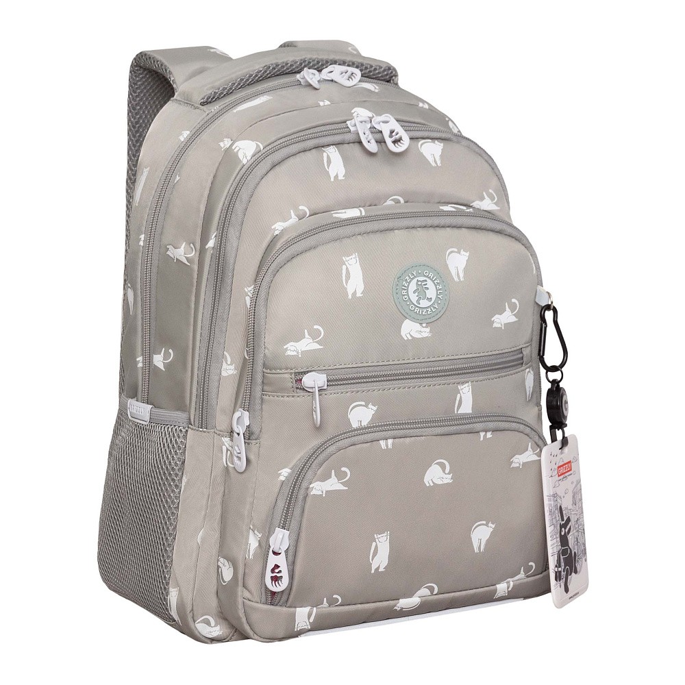 RG-662-1 Рюкзак школьный с картхолдером на держателе