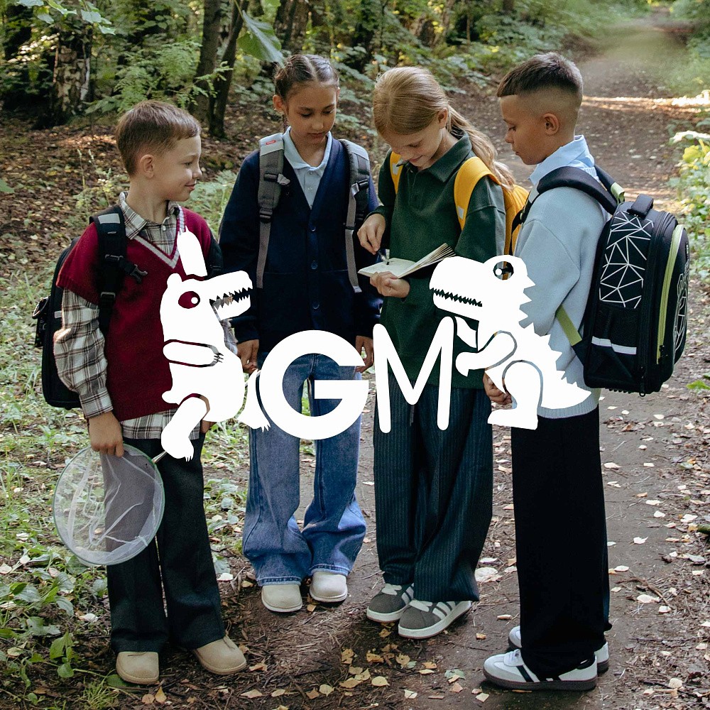 RG-568-4 Рюкзак школьный