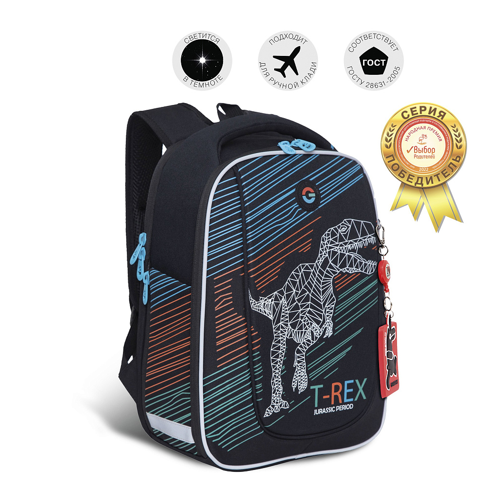 RAf-293-11 Рюкзак школьный