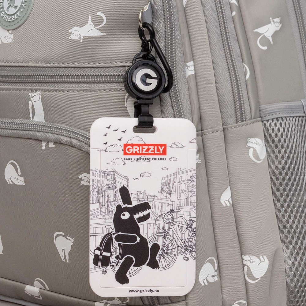 RG-662-1 Рюкзак школьный с картхолдером на держателе