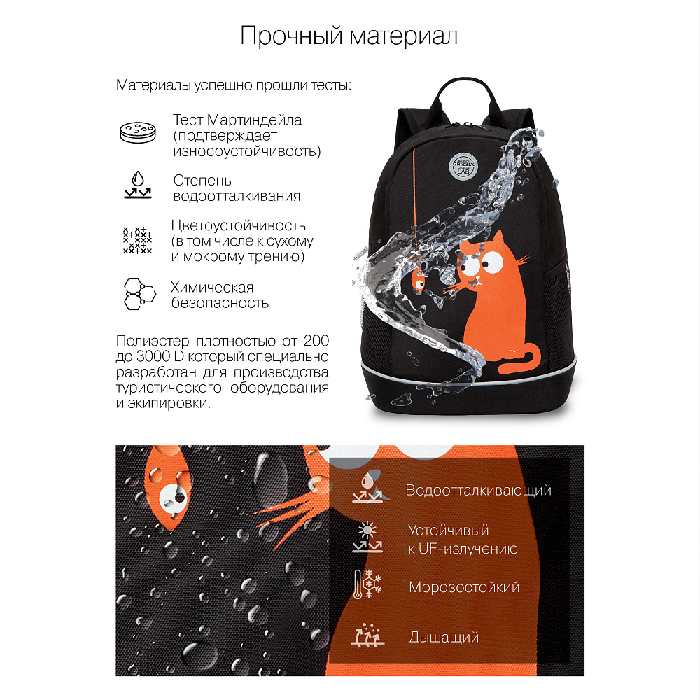 RG-263-4 Рюкзак школьный