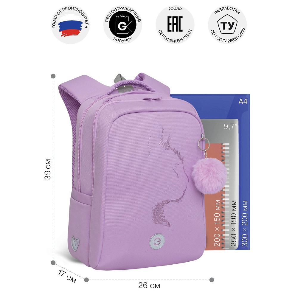 RG-566-1 Рюкзак школьный