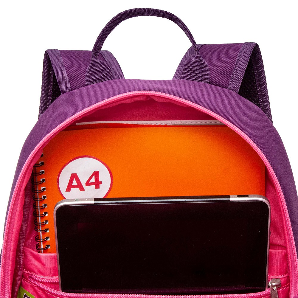 RG-463-7 Рюкзак школьный