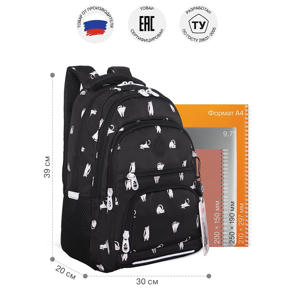 RG-662-1 Рюкзак школьный с картхолдером на держателе