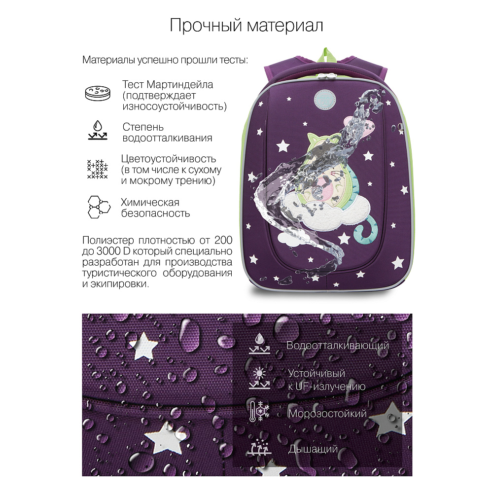 RAf-292-11 Рюкзак школьный