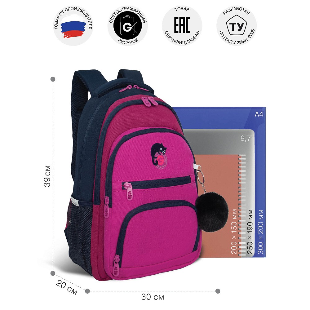 RG-562-2 Рюкзак школьный