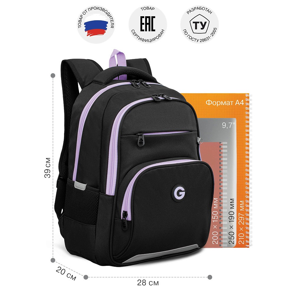 RG-668-3 Рюкзак школьный с чехлом для мелочей