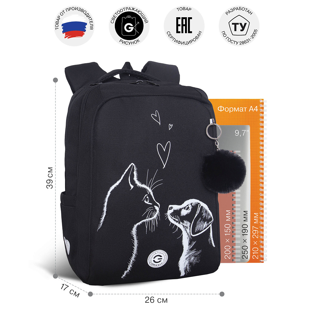 RG-666-5 Рюкзак школьный с обвесом