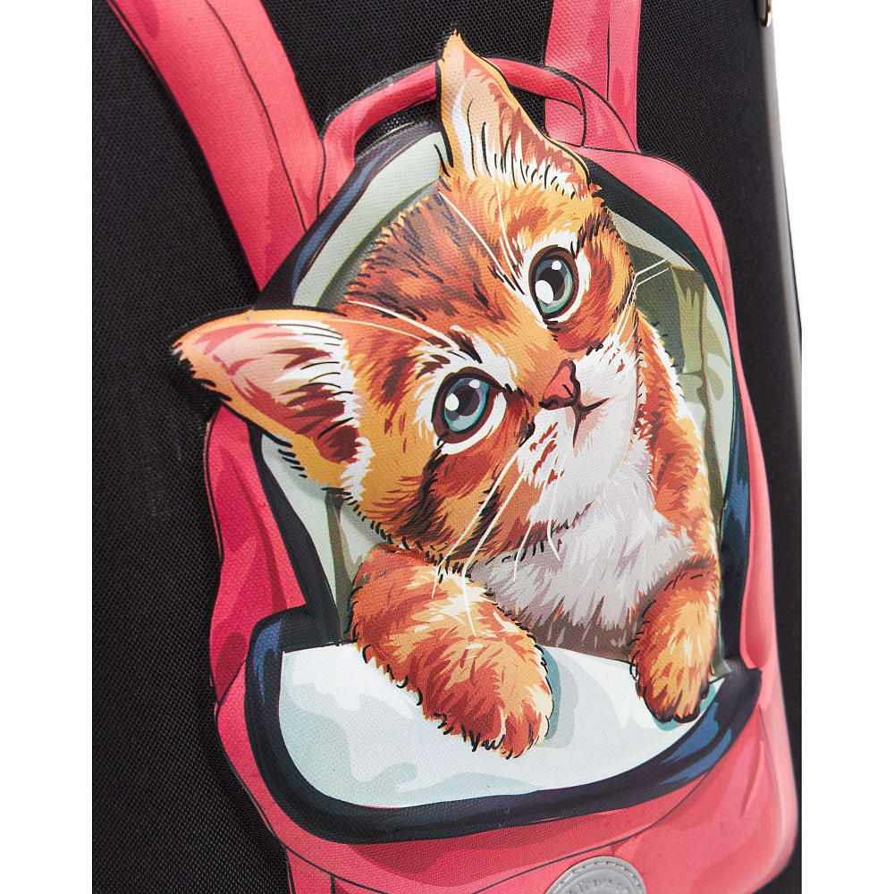 RAw-396-11 Рюкзак школьный