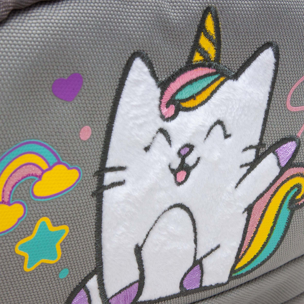 RG-462-3 Рюкзак школьный