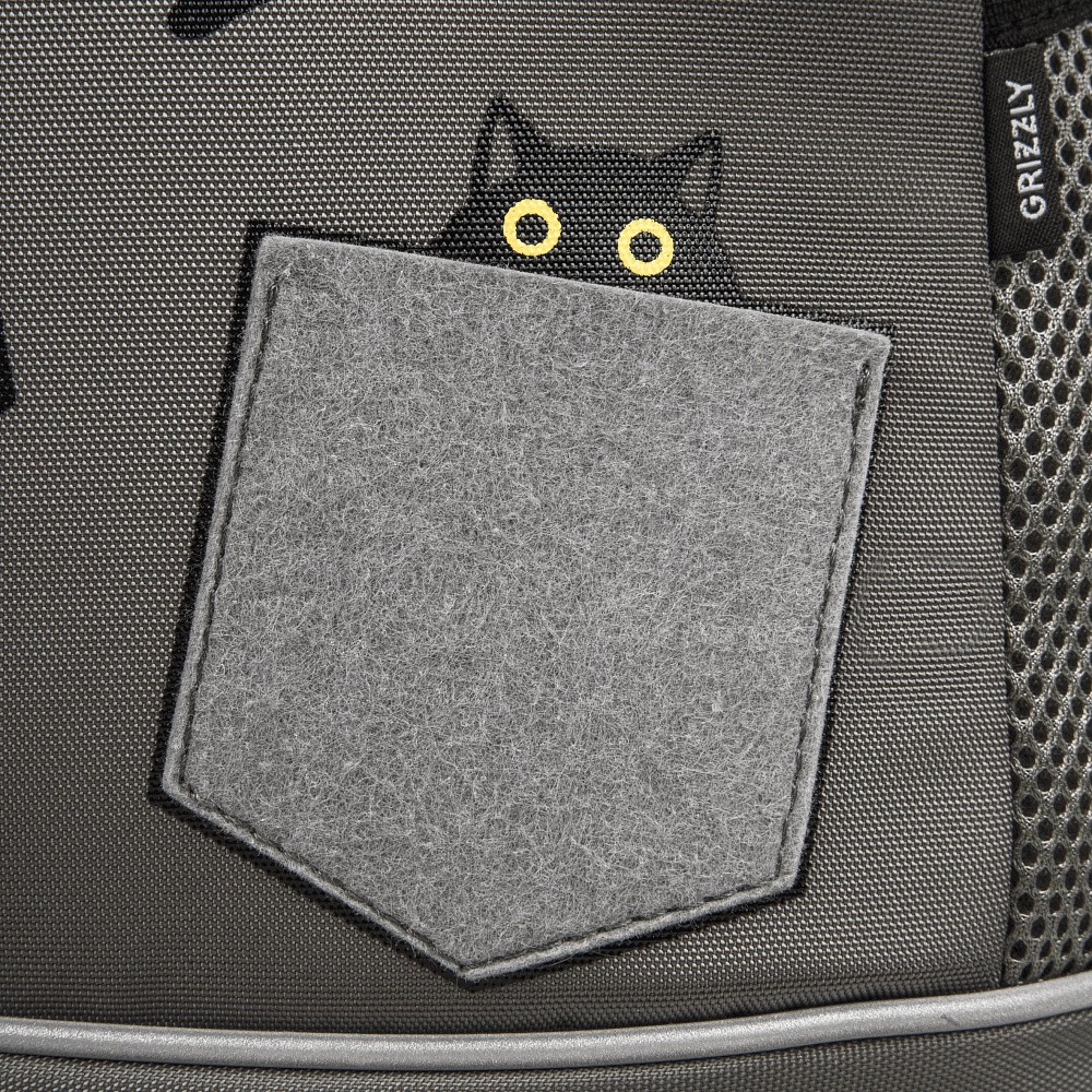 RG-663-2 Рюкзак школьный с обвесом