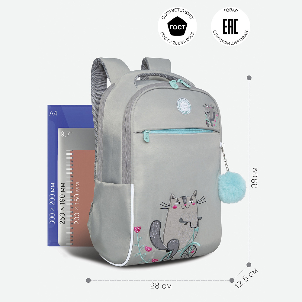 RG-367-3 Рюкзак школьный