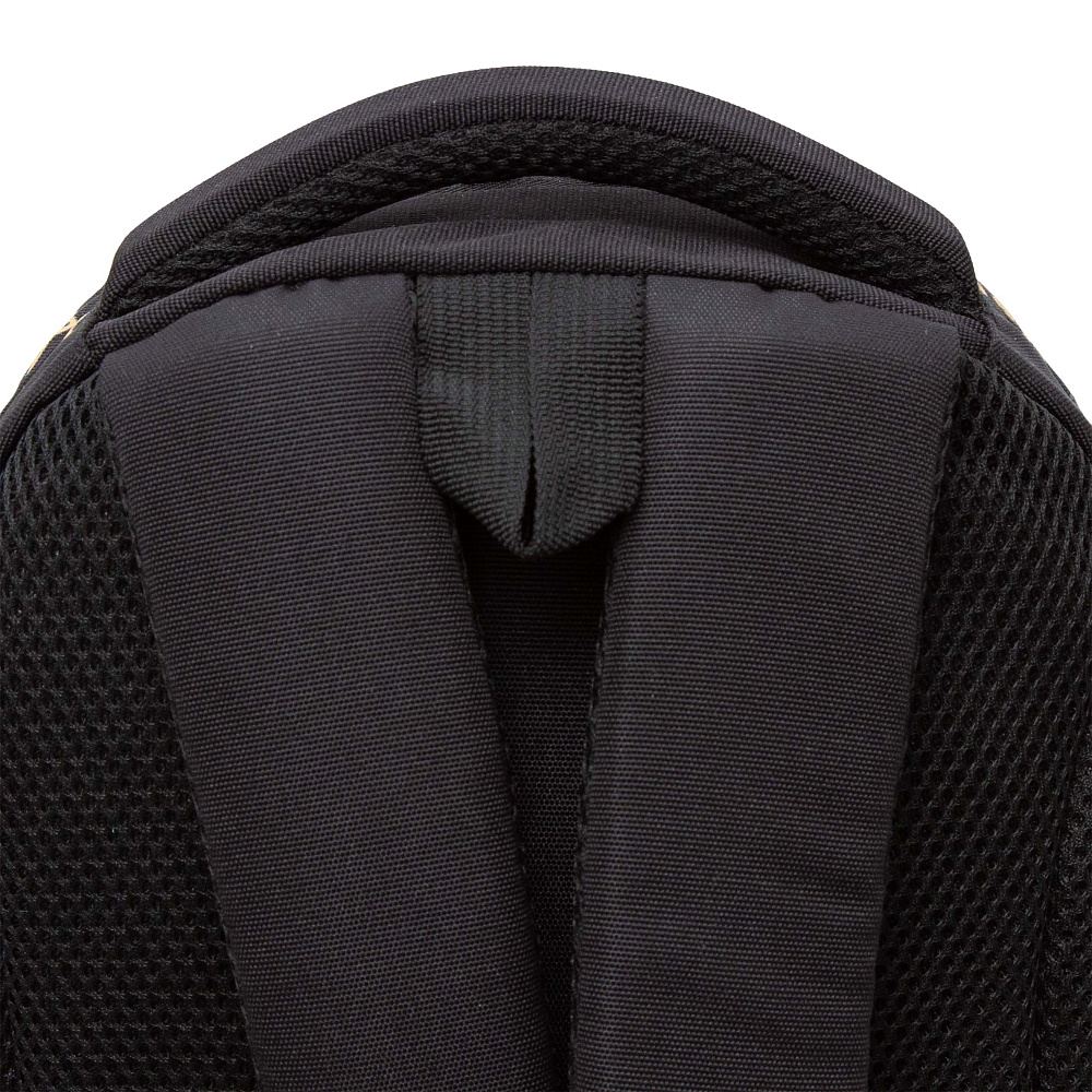 RG-462-2 Рюкзак школьный с обвесом