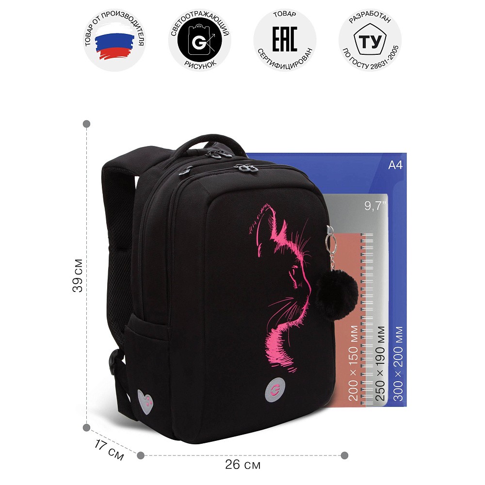 RG-566-1 Рюкзак школьный