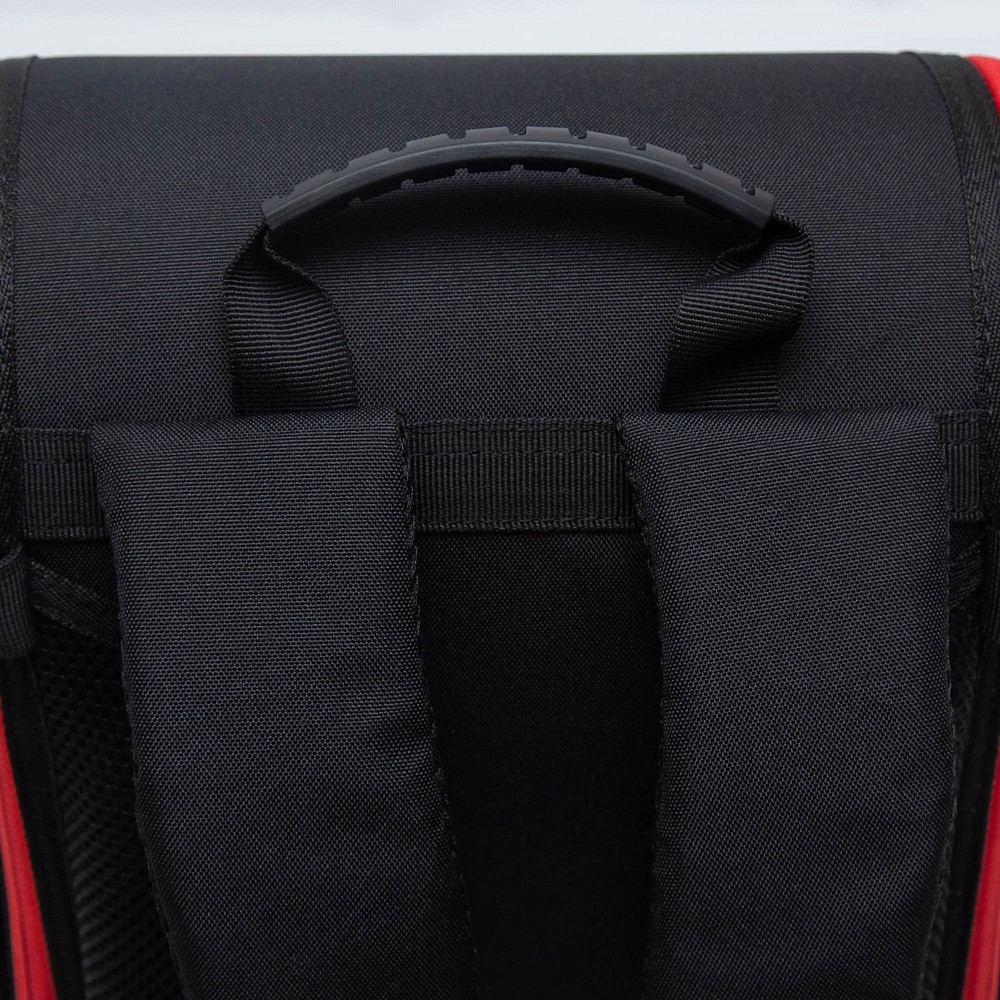 RAl-295-3 Рюкзак школьный