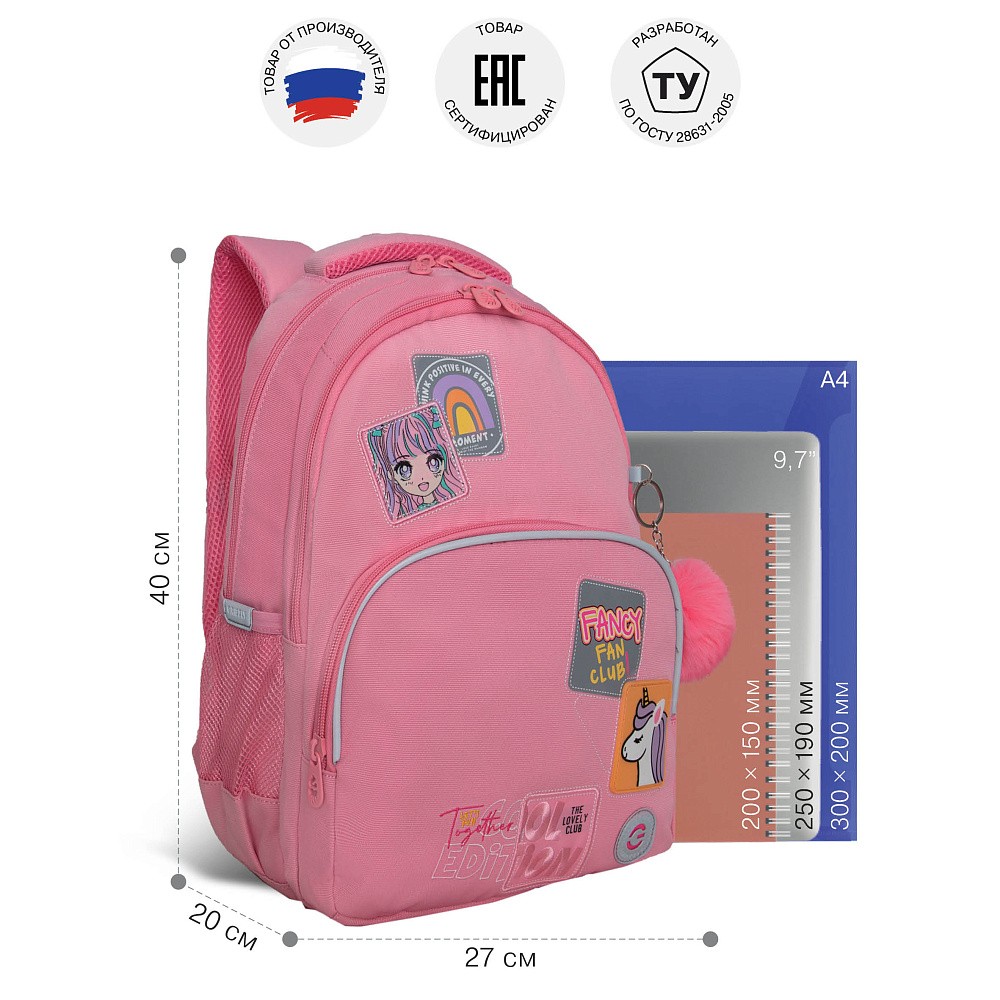 RG-560-5 Рюкзак школьный