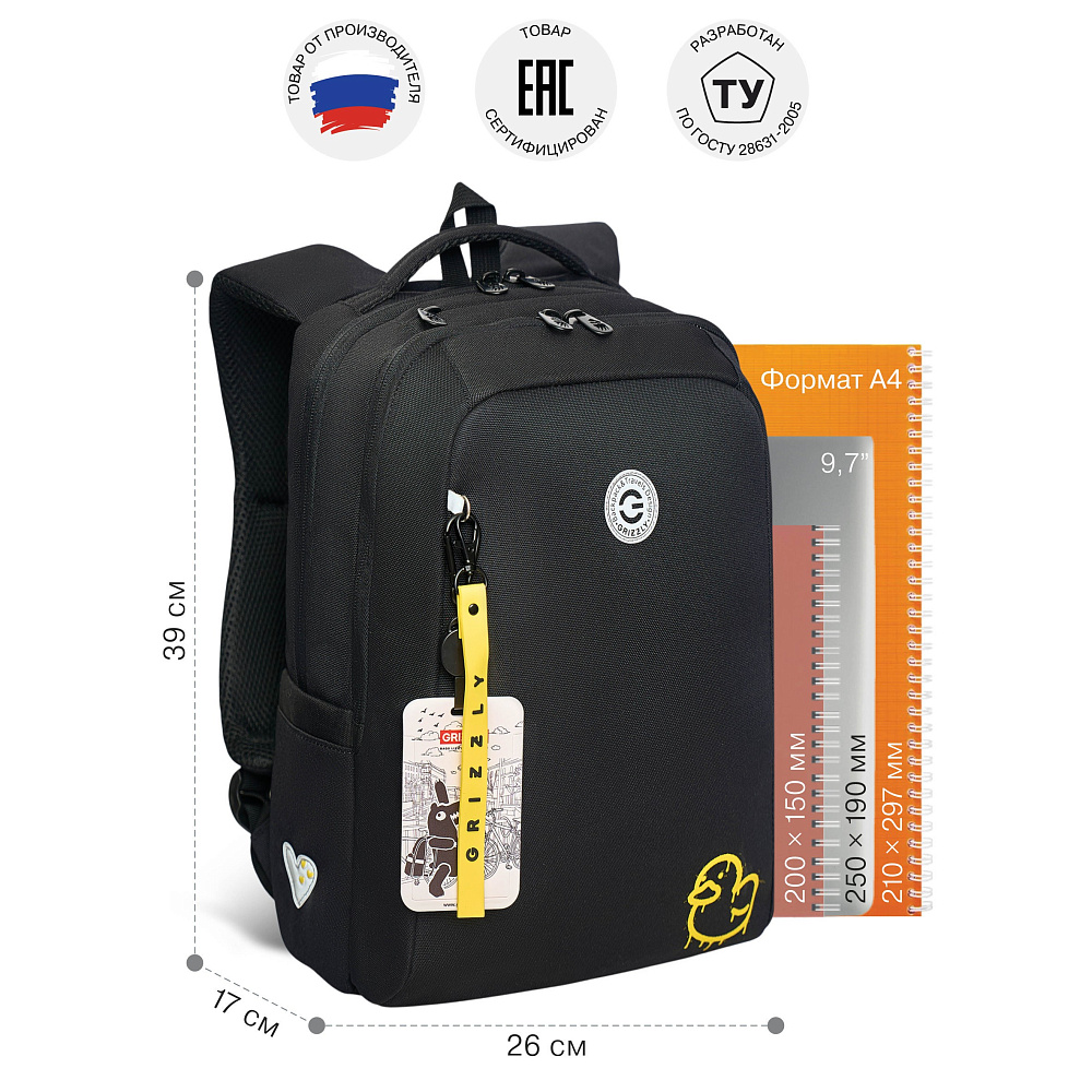 RG-666-2 Рюкзак школьный с картхолдером на держателе