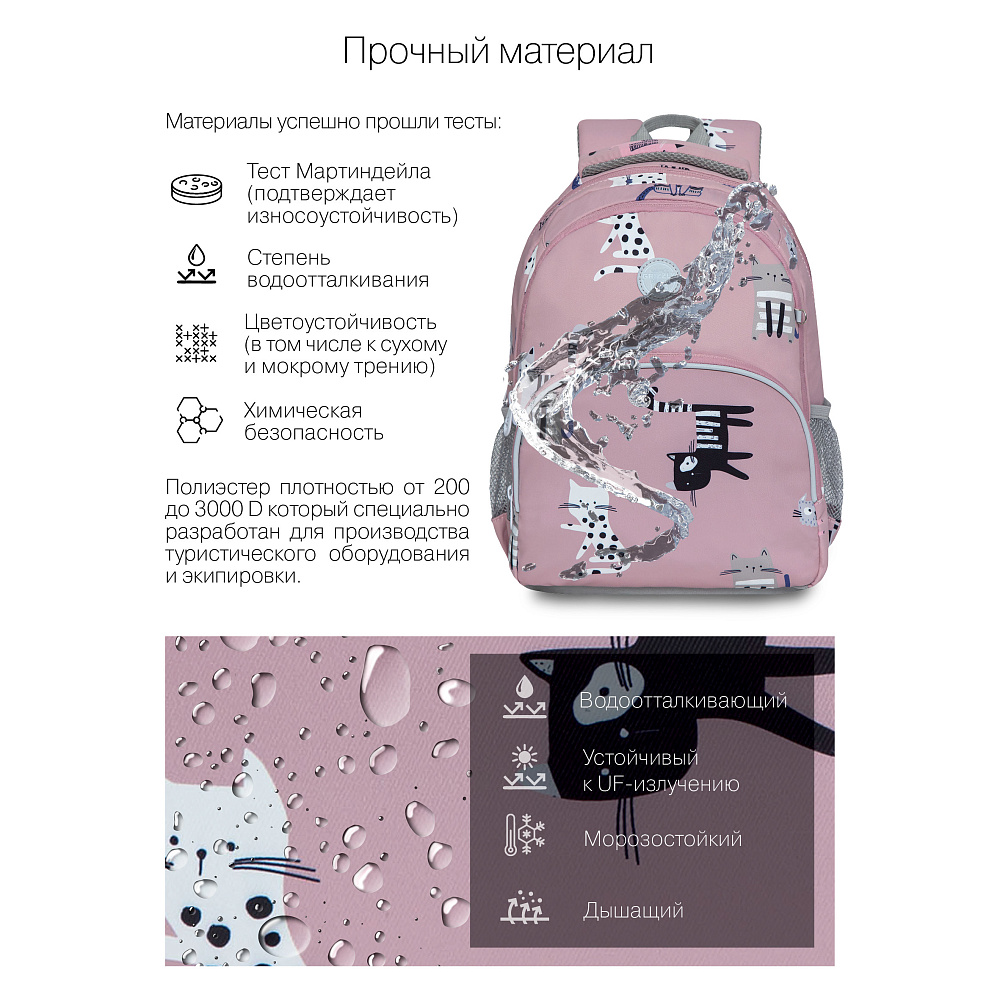 RG-260-8 Рюкзак школьный