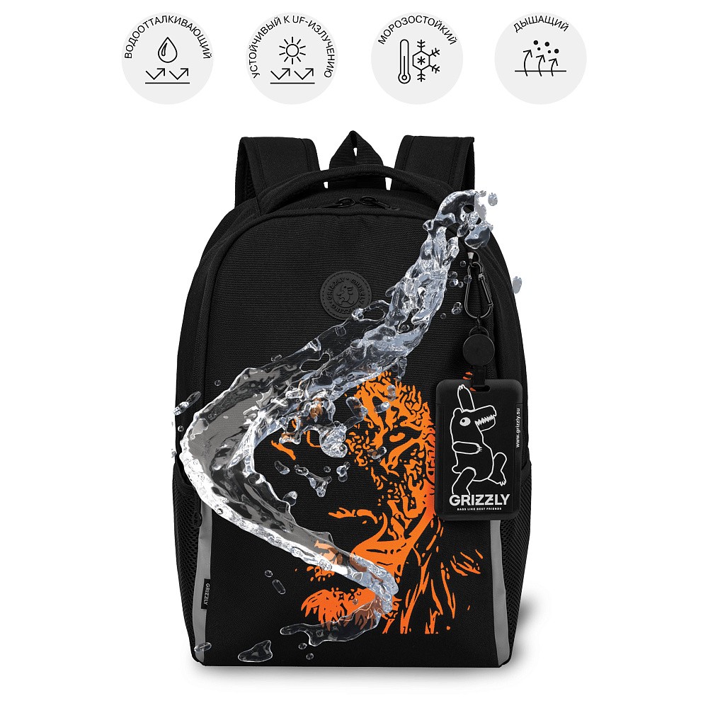 RB-651-3 Рюкзак школьный с картхолдером на держателе