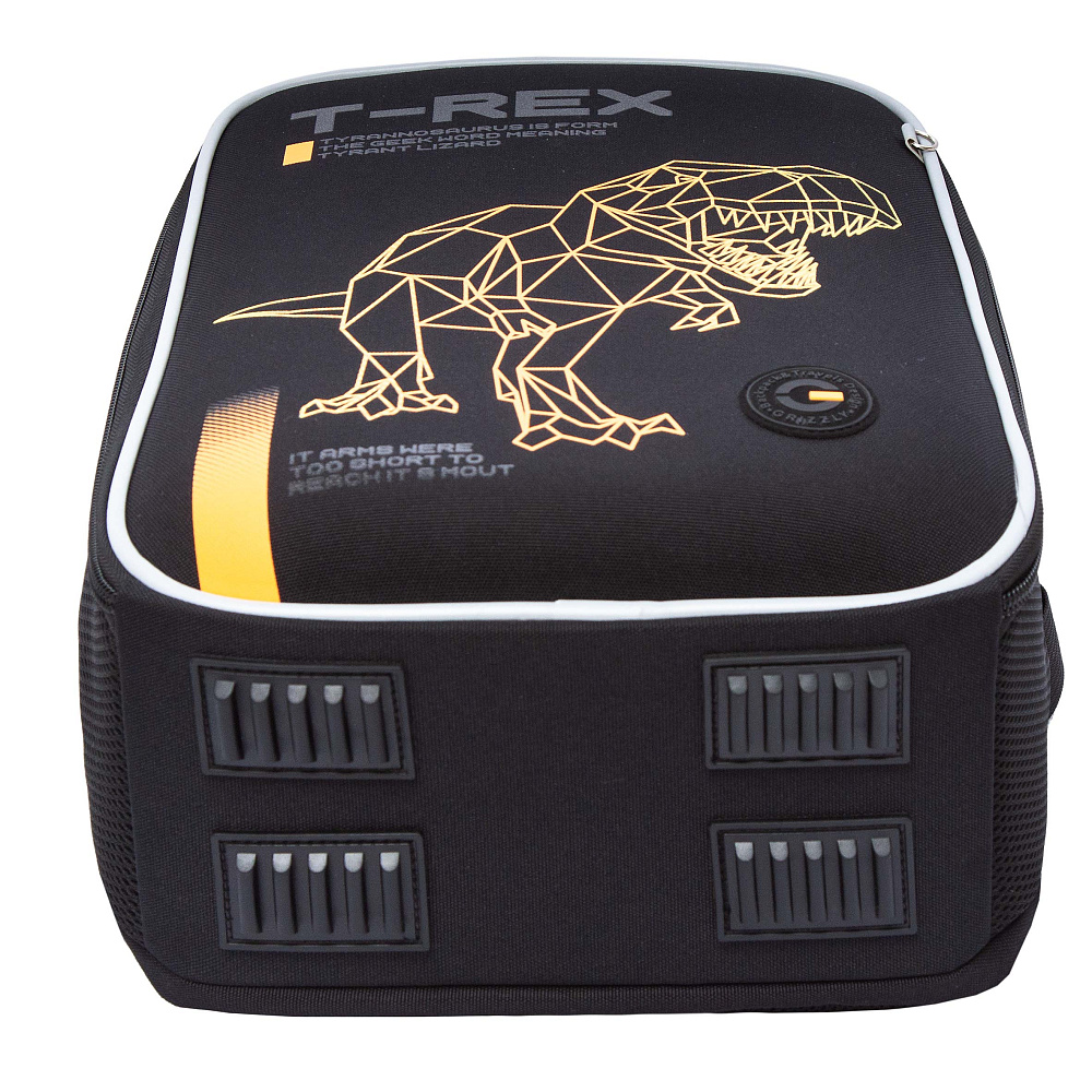 RAw-595-1 Рюкзак школьный