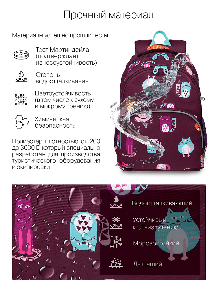 RG-260-11 Рюкзак школьный