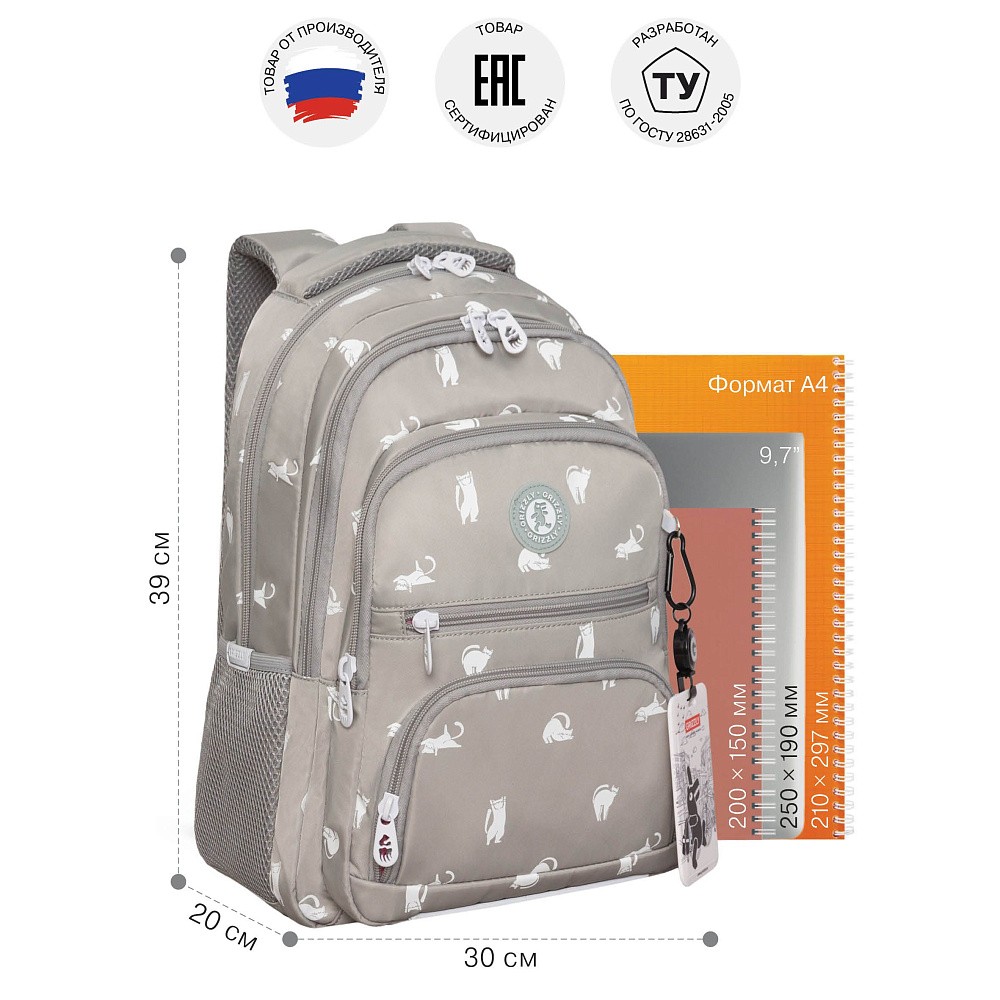 RG-662-1 Рюкзак школьный с картхолдером на держателе