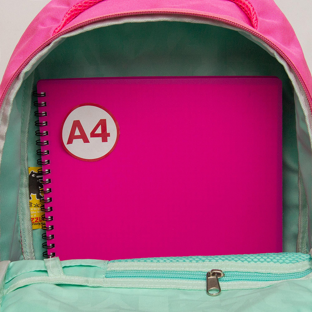 RG-367-4 Рюкзак школьный