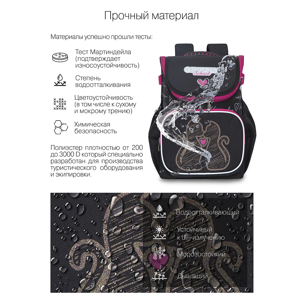RAl-294-2 Рюкзак школьный
