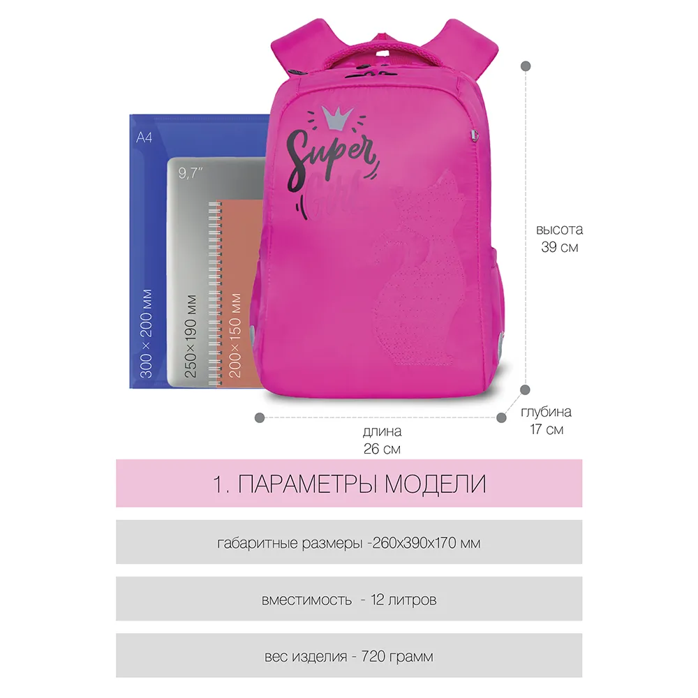 RG-166-2 Рюкзак школьный