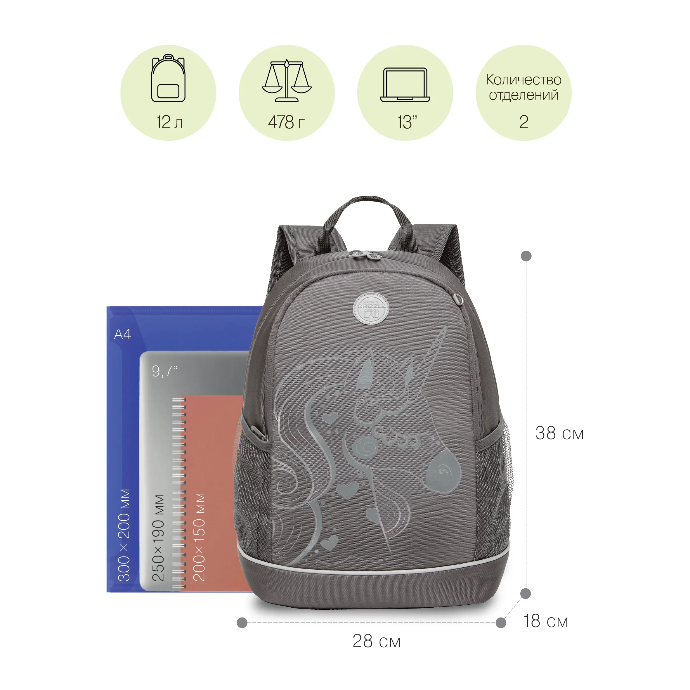 RG-263-1 Рюкзак школьный